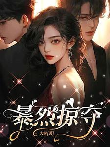 暴烈掠夺
